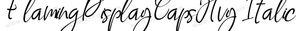 FlamingDisplayCapsHvy Italic字体转换